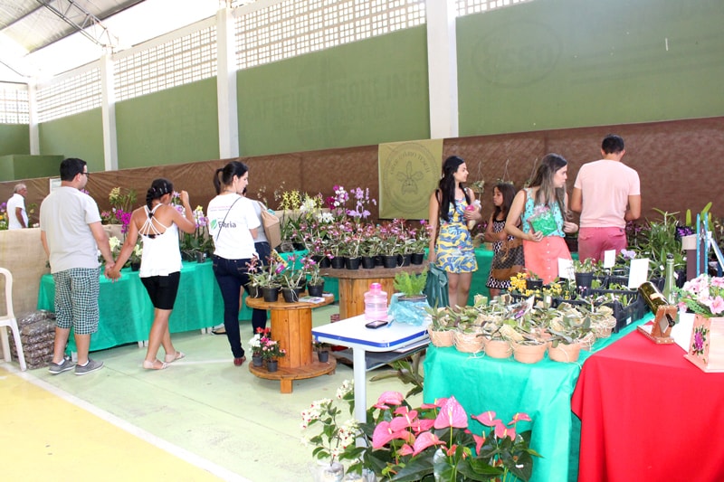 X Exposição de Orquídeas encanta visitantes em Santa Maria de Marechal