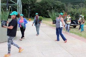 Curso de jardinagem na Vila dos Ipês na Vila dos Ipês em Santa Maria de Marechal