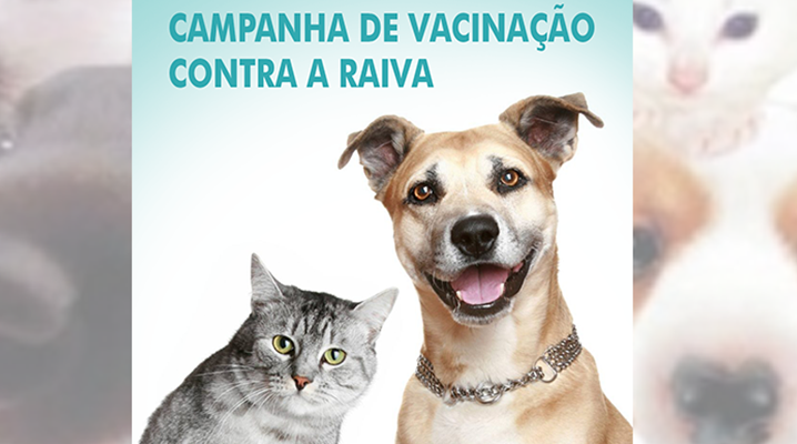 Marechal Floriano já vacinou mais de 1,2 mil animais