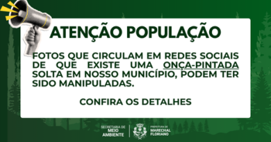 IBAMA aponta fortes indícios de falsificação em imagens de suposta onça-pintada na região de Marechal Floriano.